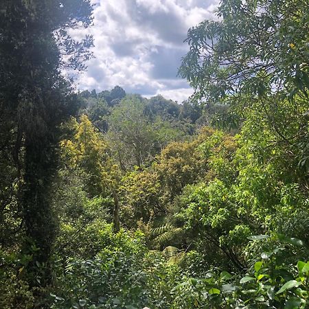 Kaka Ridge Retreat Bush Hideaway Apartment Tawharanui Екстериор снимка