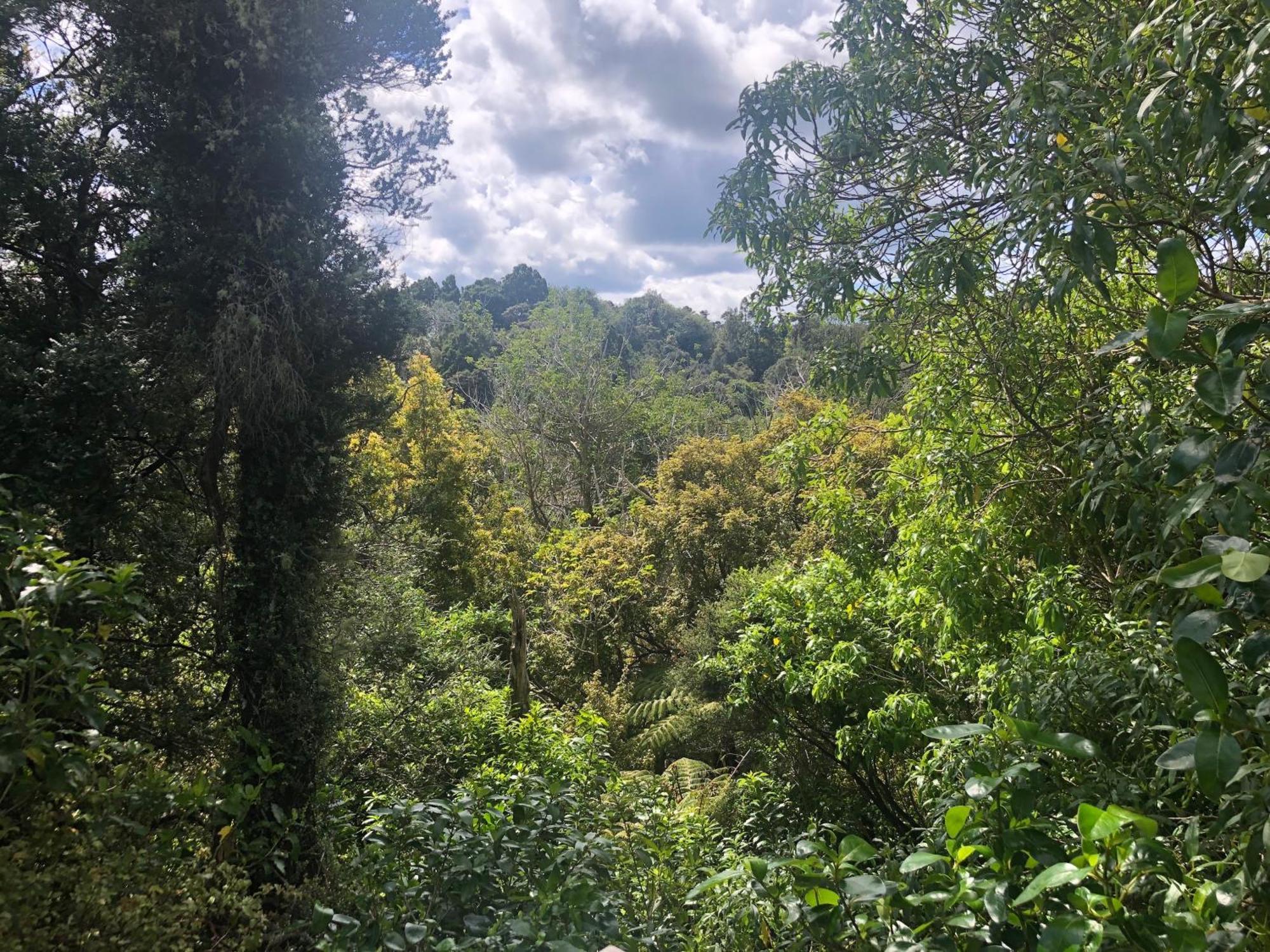 Kaka Ridge Retreat Bush Hideaway Apartment Tawharanui Екстериор снимка